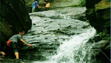 黄陂胜天农庄一日游(不去新汉正街)(武汉出发)