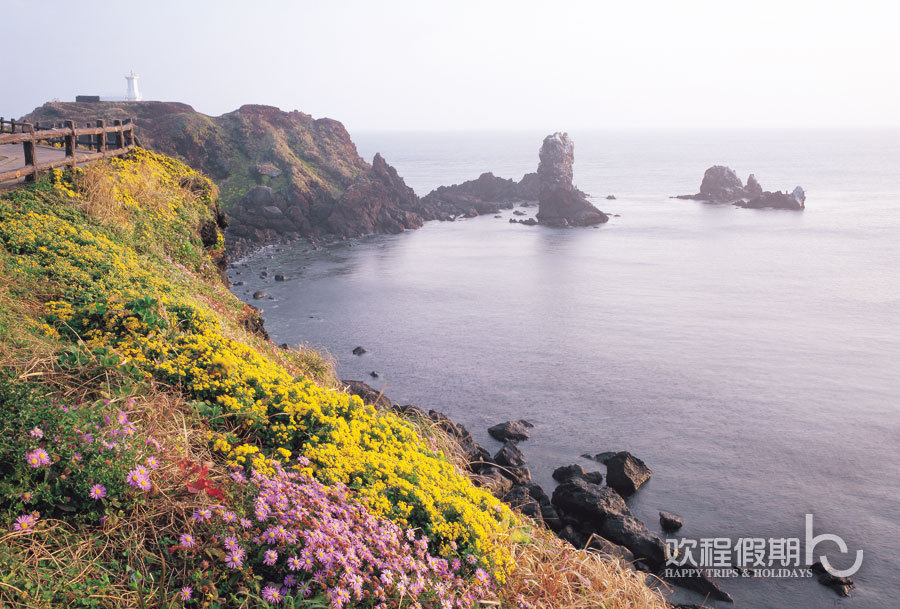 韩国首尔4日3晚跟团游·时间合适短期出行的