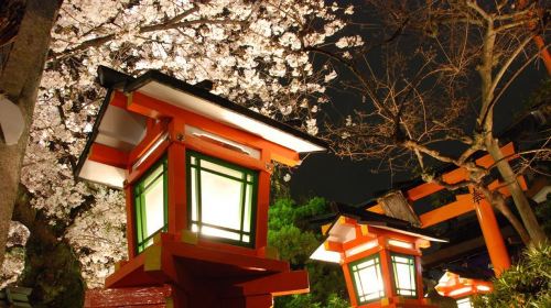 日本大阪+京都+箱根+东京6日跟团游(3钻)·赏