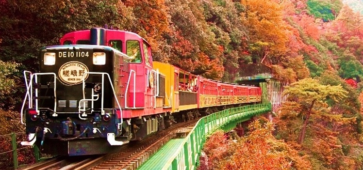 赏枫游·日本东京+京都2日1晚跟团游(4钻)·【