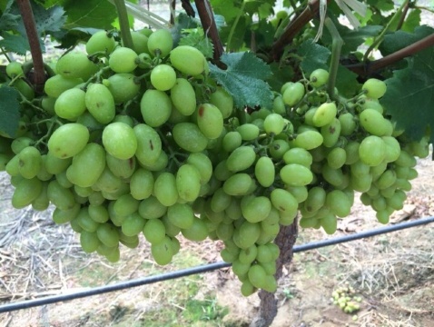 【携程攻略】北京旅游报价,北京旅游价格\/费用