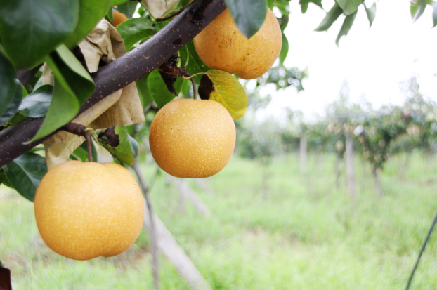 【南京站】江苏镇江2日自驾游(5钻)·句容开元