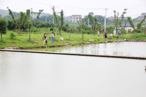 【南京站】江苏镇江2日自驾游(5钻)·句容开元