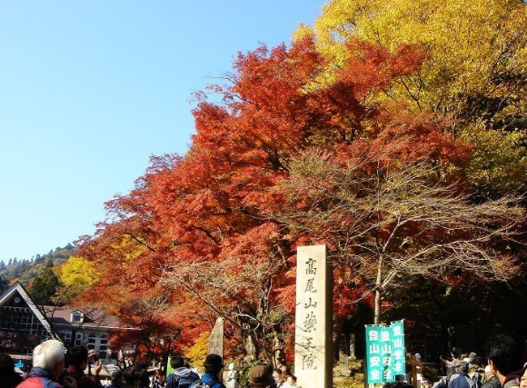 上海到东京团队游,上海到东京团队游攻略,线路