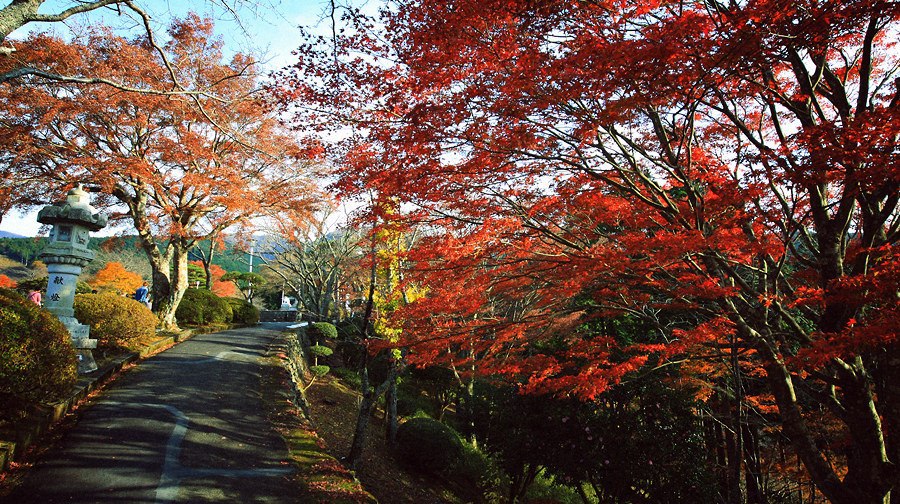 名古屋旅游线路攻略_名古屋自助游_团队游线