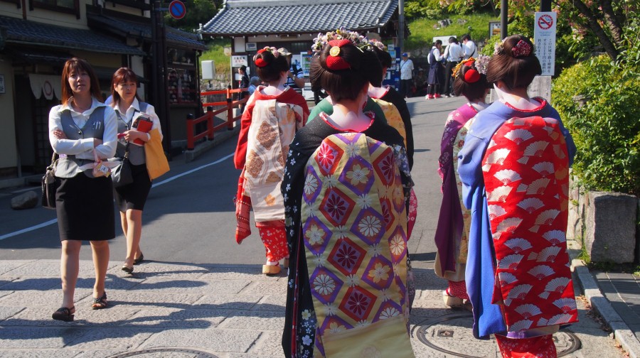 箱根大阪日本京都宿务6日跟团游(3钻)·芝樱攻略世遗巡礼1晚东京市区一日游公园图片
