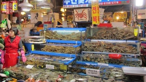 海鲜市场
