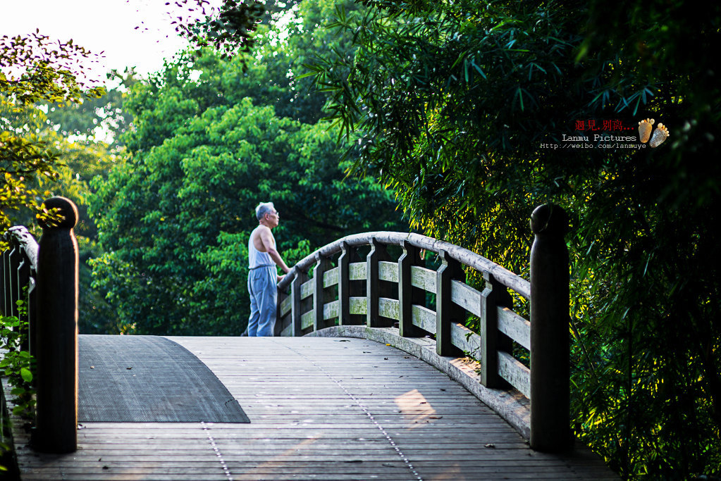 杭州旅游线路攻略_郑州到杭州自助游_自由行