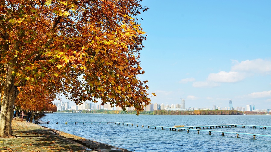 武汉旅游线路攻略_重庆到武汉自助游_自由行
