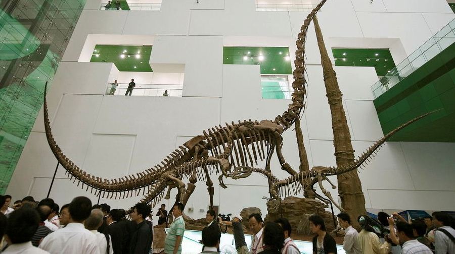 【特惠亲子游】北京科技馆+电影博物馆室内暖