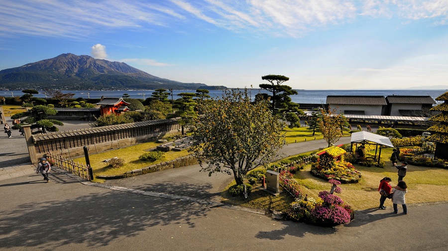 行程安排合理,追樱之,日本九州4日跟团游(3钻)