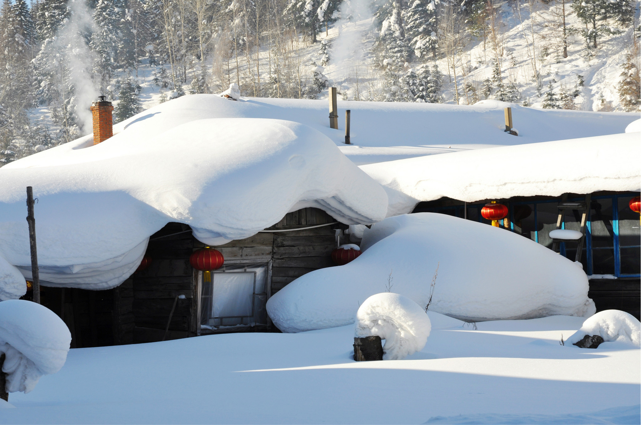 哈尔滨旅游线路攻略_上海到哈尔滨自助游_自