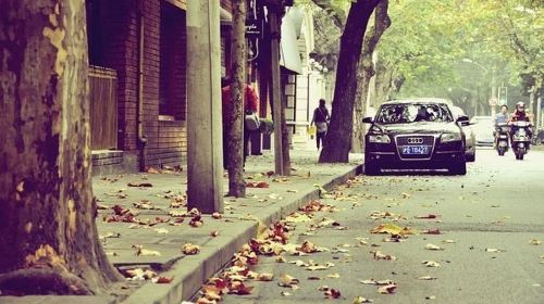 【仿入欧境】【相约武康路】上海富豪环球东亚