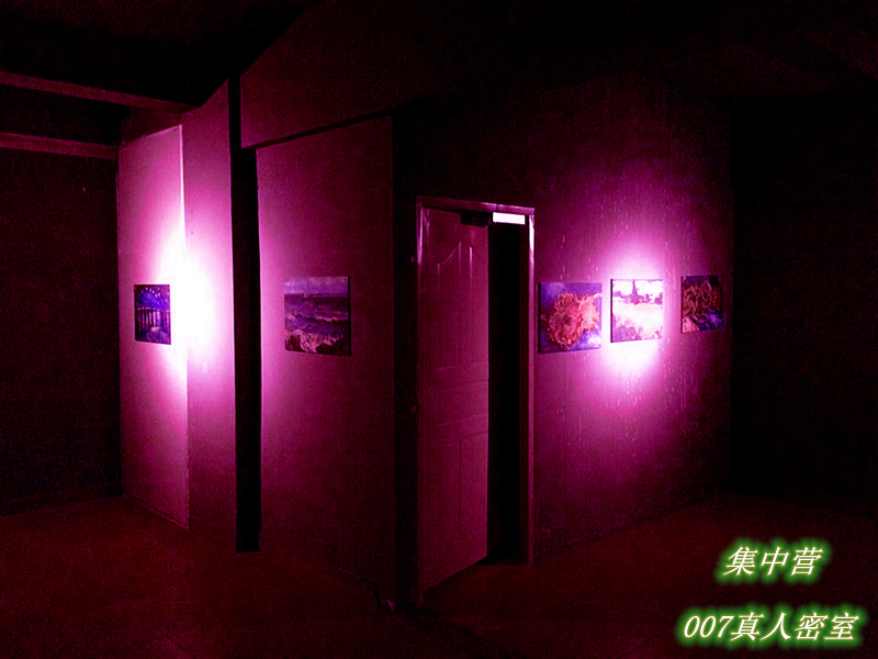 深圳到惠州一日游,深圳到惠州一日游攻略,线路