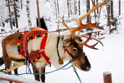 【携程攻略】上海到瑞典旅游报价,上海到瑞典