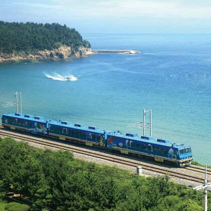 江陵市+镜浦台+正东津海滩+安木海边咖啡街一日游 江陵市+镜浦台+正东津海滩+安木海边咖啡街一日游