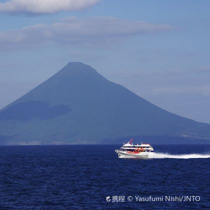 日本鹿儿岛樱岛+城山展望台+仙岩园+雾岛神宫一日游