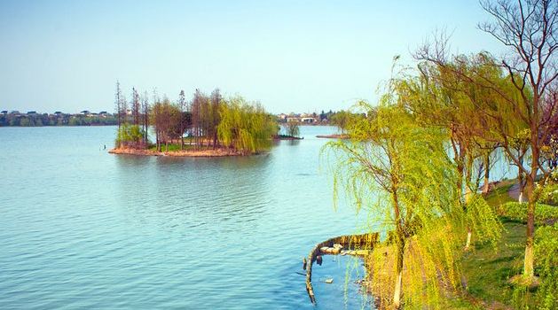 2019朱家角旅游攻略,3月朱家角自助游/攻略自淄博周村旅游周边图片