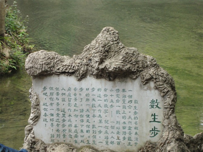                          数生步