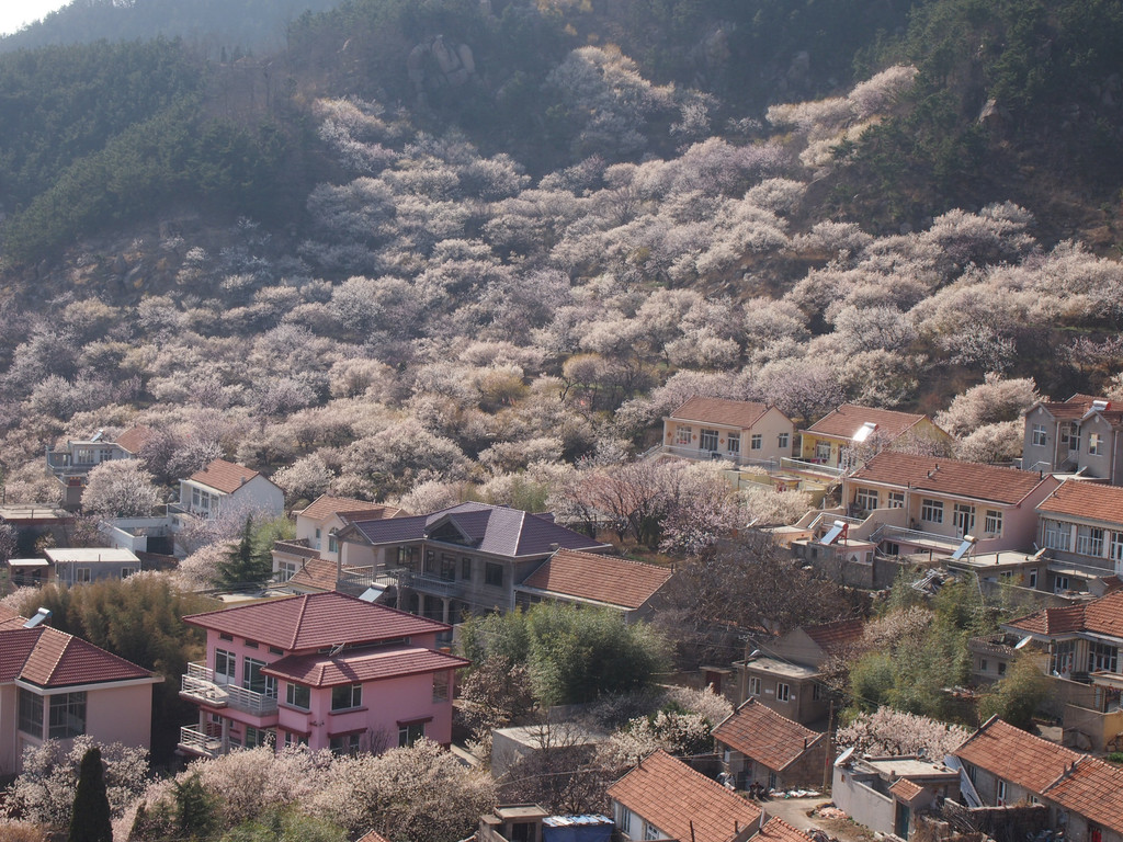 崂山北宅