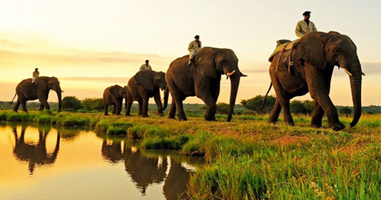 没有香港签证,那你们,曼谷旅游