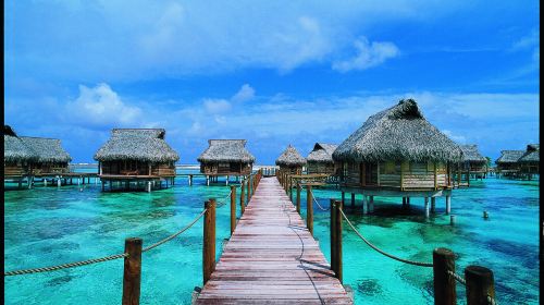 【北京】波拉波拉+提克豪环礁+大溪地8日6晚