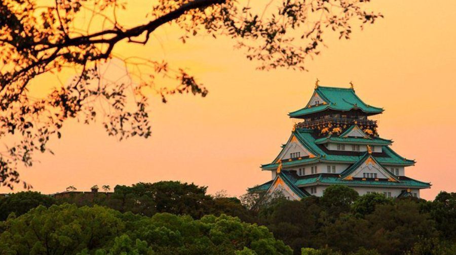 日本大阪+京都+箱根+岐阜县+东京8日跟团游(