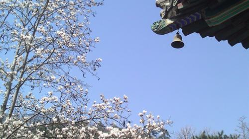 1、带孩子想定大床房,温泉之旅·门头沟2日跟