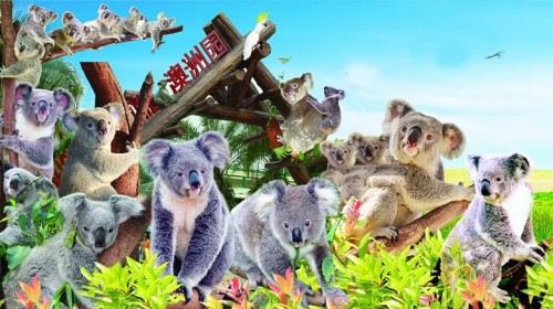 【福州】广州长隆3日跟团游(3钻)·全家玩转四