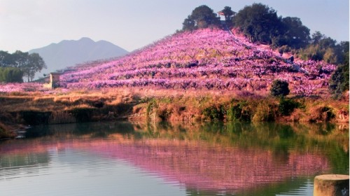 【携程攻略】上海到宁波旅游报价,上海到宁波