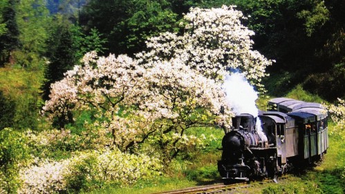 1米以下的团费是啷个,乐山旅游【携程旅游】