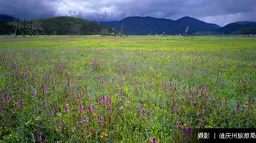 香格里拉旅游线路攻略_上海到香格里拉自助游