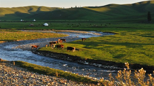 赏花游·新疆乌鲁木齐+伊犁5日4晚跟团游·库
