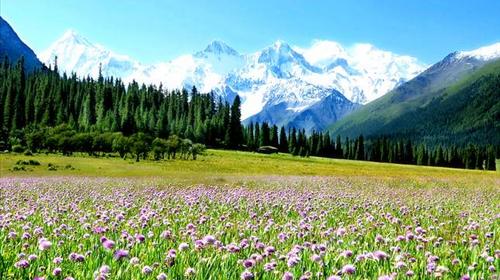 乌鲁木齐+伊宁+昭苏+那拉提+巴音布鲁克+库尔