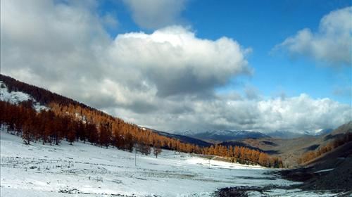 新疆6日5晚跟团游·上海到乌鲁木齐天池吐鲁
