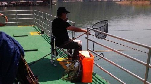 浙江杭州+千岛湖2日跟团游(2钻)·西湖+飞来峰