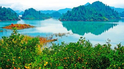 衢州住宿:在山水间感受惬意生活