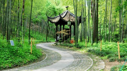 苏州旅游线路攻略_佛山到苏州自助游_自由行