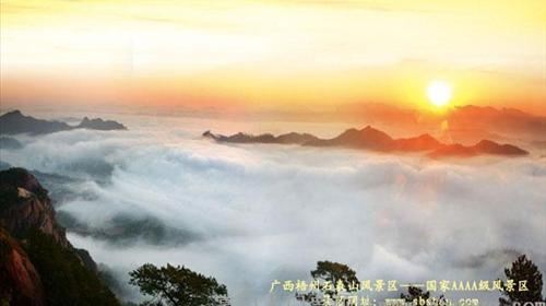 赏花游·广西梧州2日1晚跟团游·梧州石表山