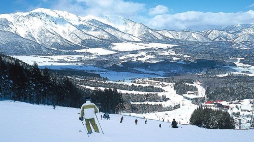 ¥99 原价:¥499 立省¥400 神农架2日团队游赏雪滑雪
