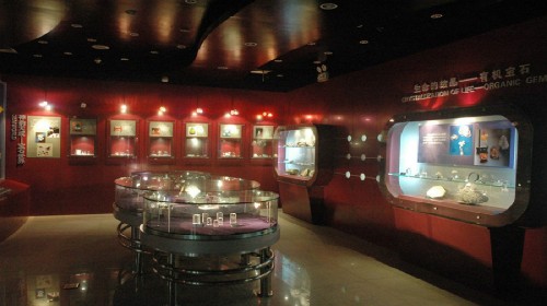 武汉中国地质大学博物馆门票点评