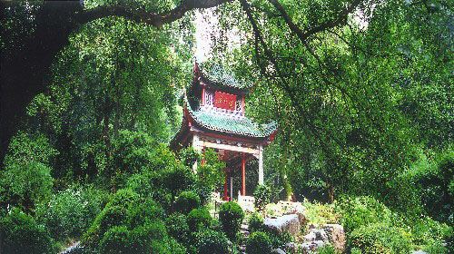 【珠海】长沙+张家界+凤凰+衡阳4日跟团游(3