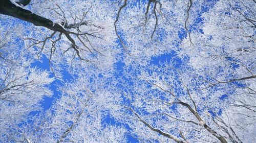 亚布力新体委滑雪场激情滑雪一日游