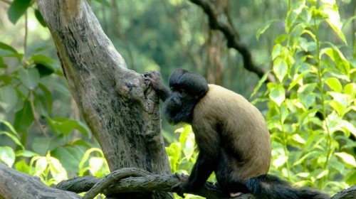 珠海旅游线路攻略_上海到珠海自助游_自由行