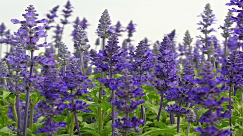 服务态度好。超级划算,花都旅游