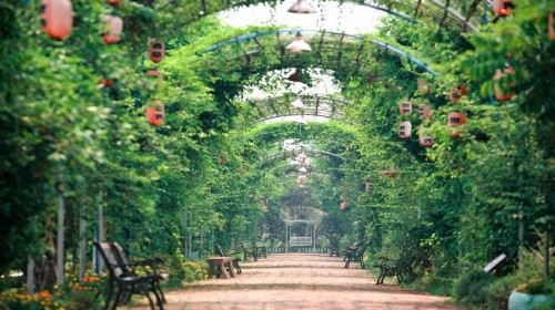 广州周末去哪玩,广州周末短途游线路,广州周边