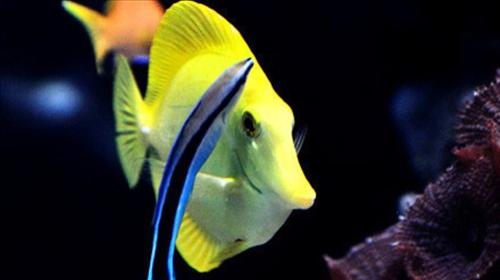 青岛周末去哪玩,青岛周末短途游线路,青岛周边