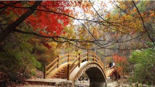 本溪+桓仁2日跟团游(2钻)·送龙溪谷、十一国