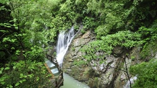 【江门】重庆万盛黑山谷一日游(含景区换乘车