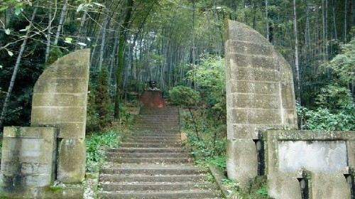 赏花游·重庆北碚金果园+缙云山一日游